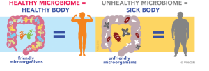 Microbiome